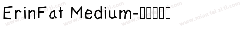 ErinFat Medium字体转换